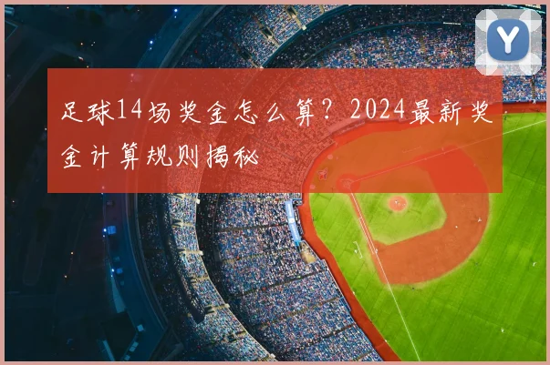 足球14场奖金怎么算？2024最新奖金计算规则揭秘