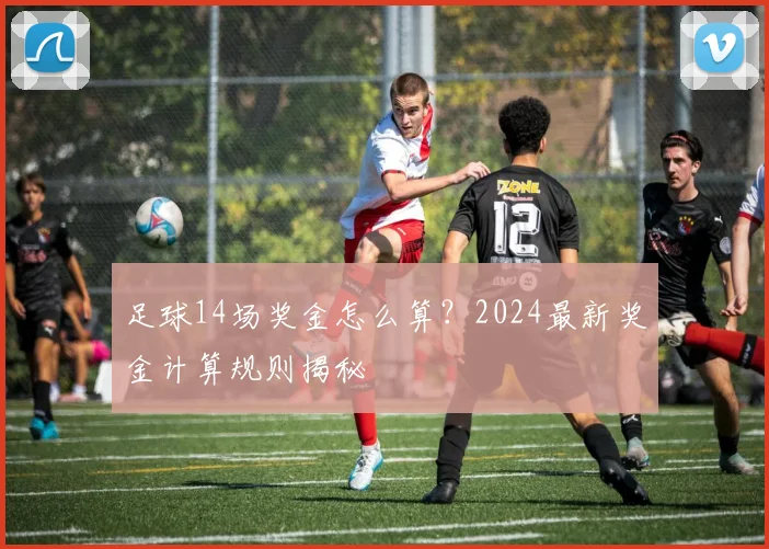 足球14场奖金怎么算？2024最新奖金计算规则揭秘